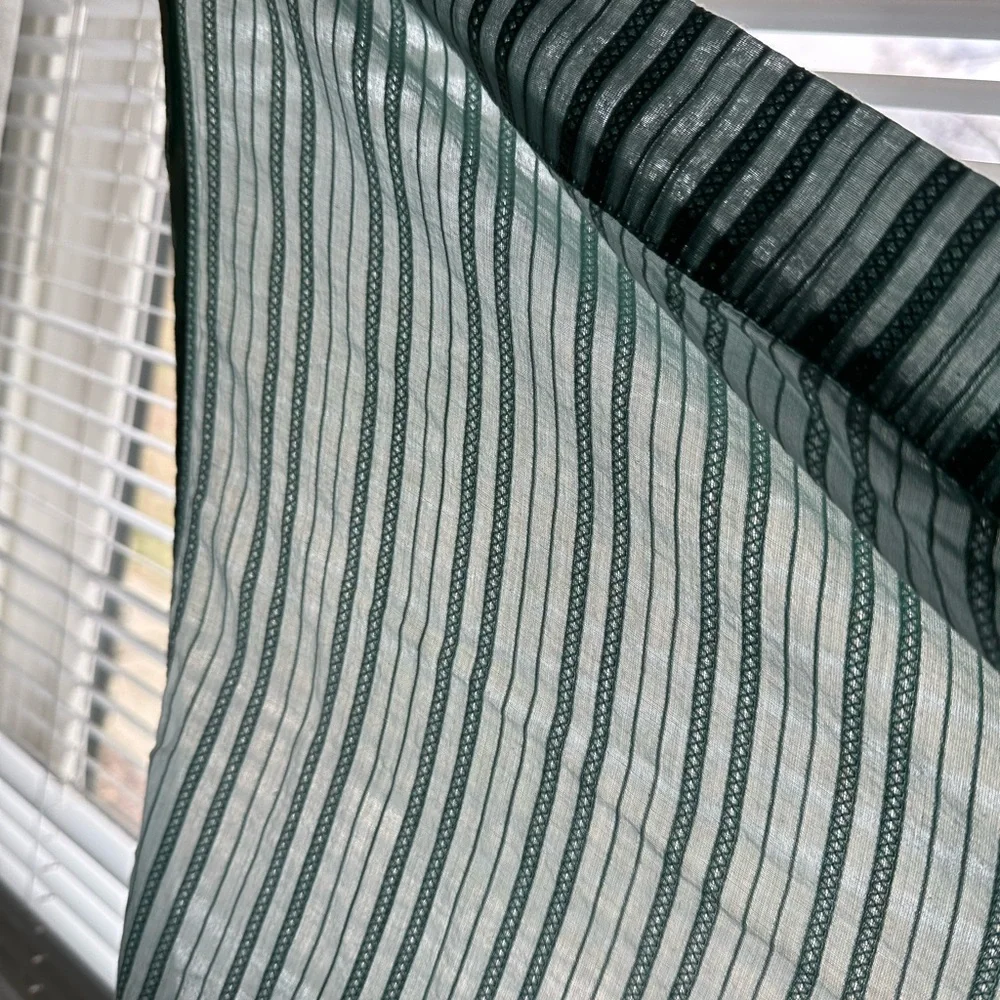 Pair of Curtain Panels